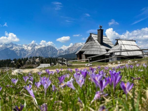 CHALET KOČNA - I FEEL ALPS